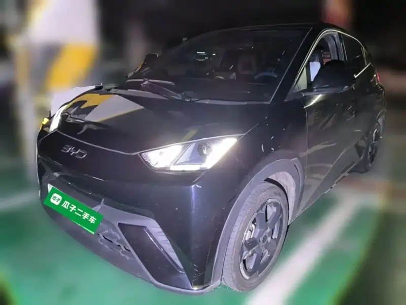 BYD Seagull, 2024
