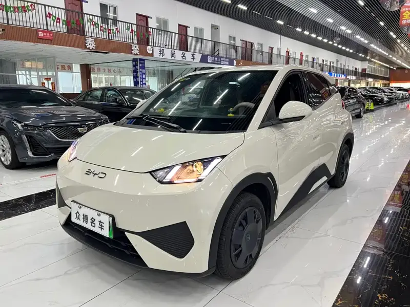 BYD Seagull, 2025