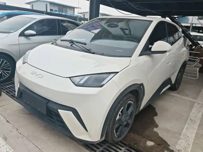 BYD Seagull, 2024