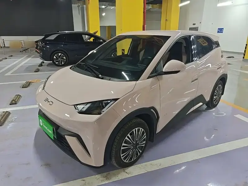 BYD Seagull, 2024