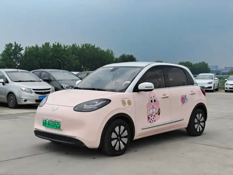 Wuling Bingo, 2024