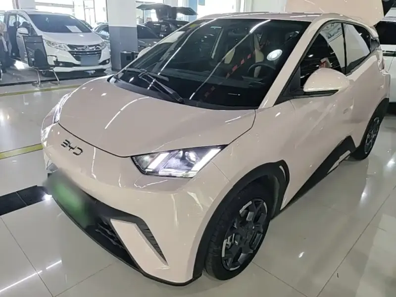 BYD Seagull, 2024