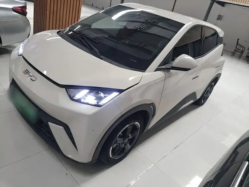 BYD Seagull, 2024