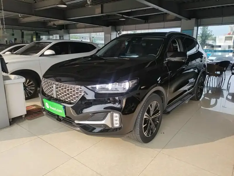 Wey VV6, 2021