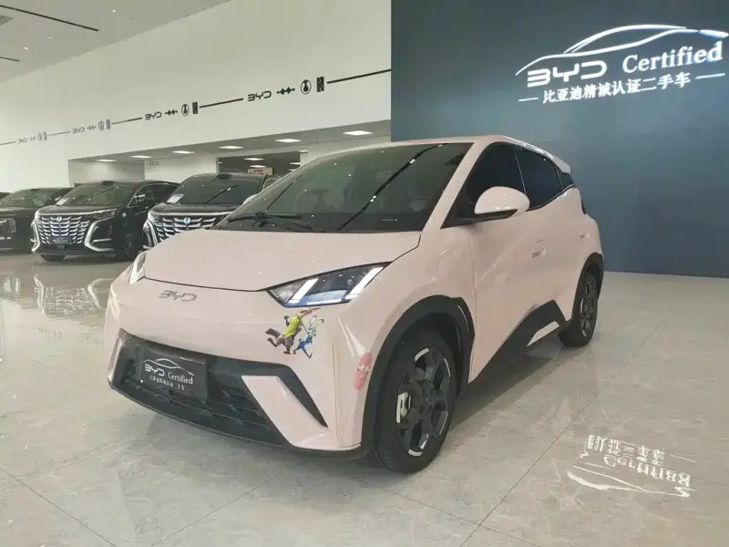 BYD Seagull, 2025