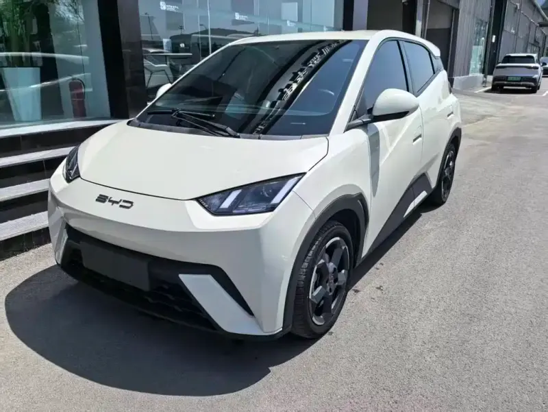 BYD Seagull, 2025
