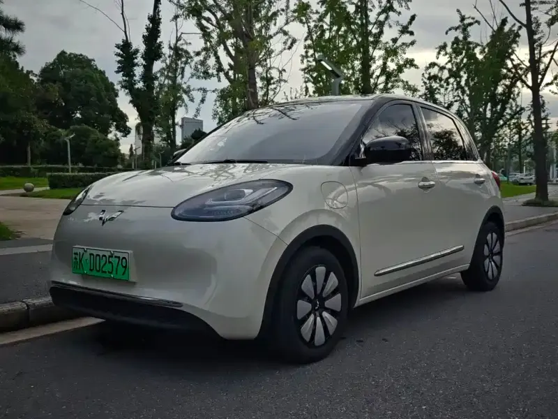 Wuling Bingo, 2024
