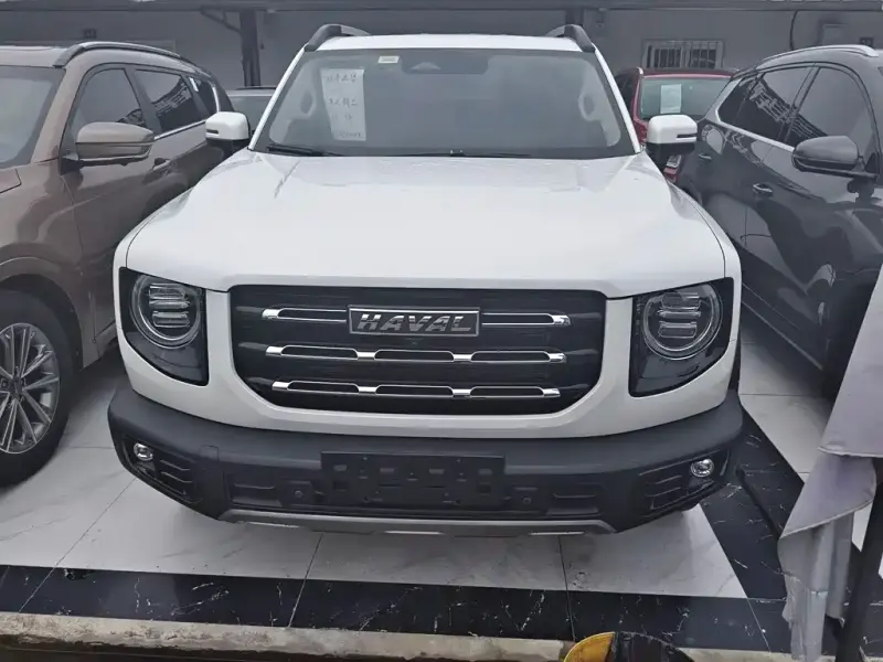 Haval Big Dog, 2021