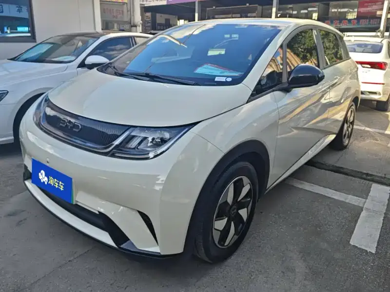 BYD Dolphin, 2024