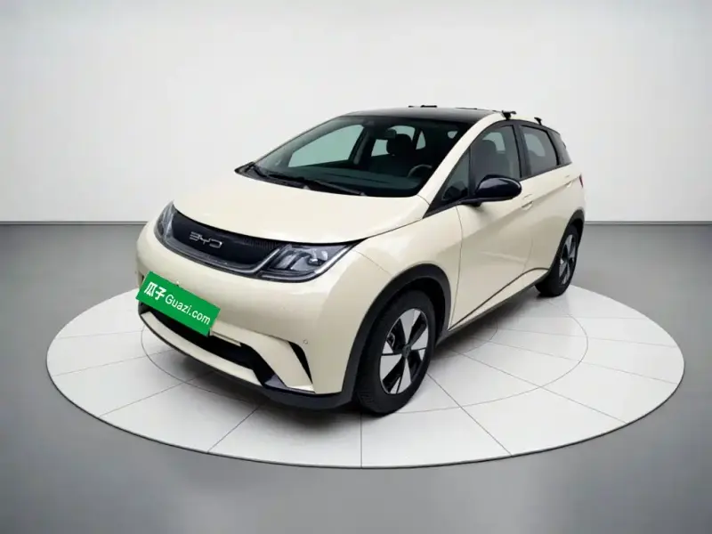 BYD Dolphin, 2024