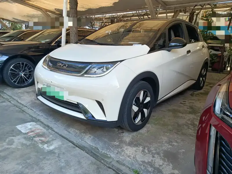 BYD Dolphin, 2024