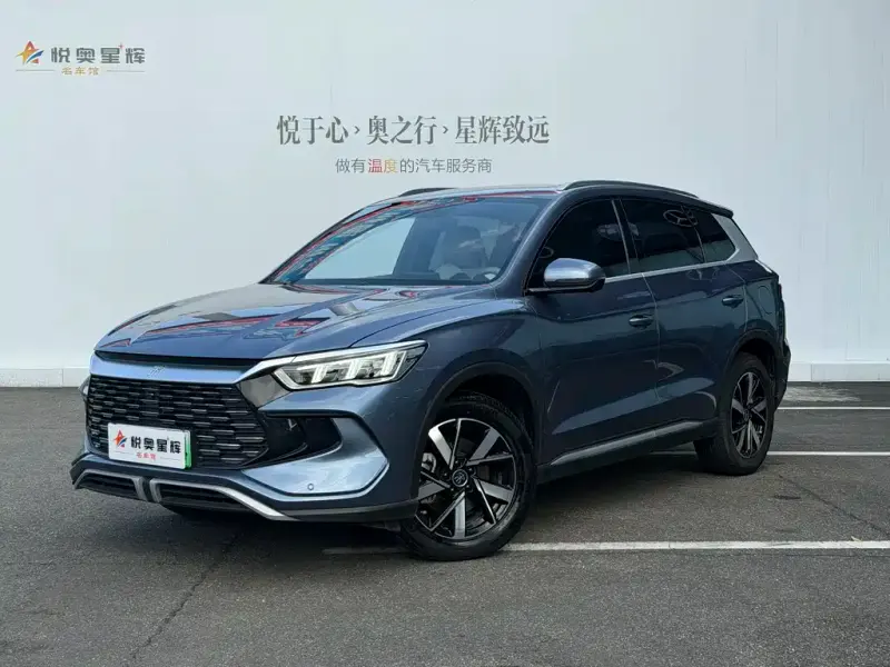 BYD Pro New Energy, 2024