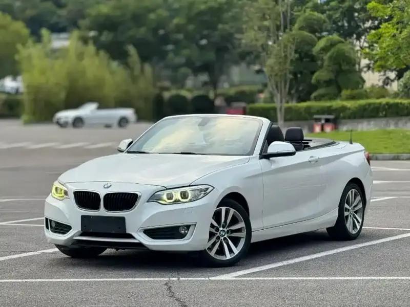 BMW 2 Series (Import), 2016