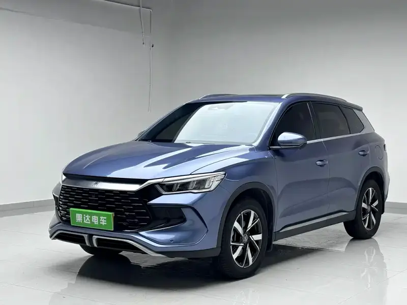 BYD Pro New Energy, 2023