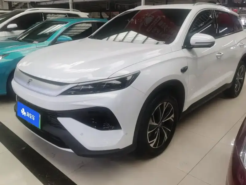 BYD Pro New Energy, 2025