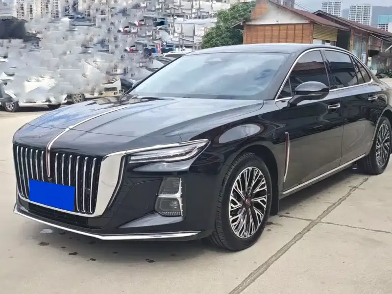 Hongqi H5, 2024