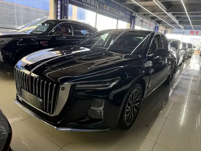 Hongqi H5, 2024