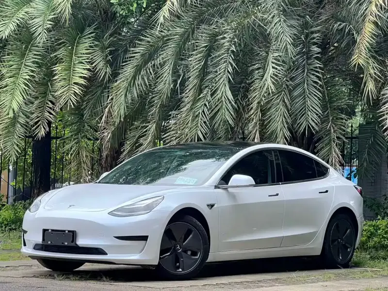 Tesla Model 3, 2019