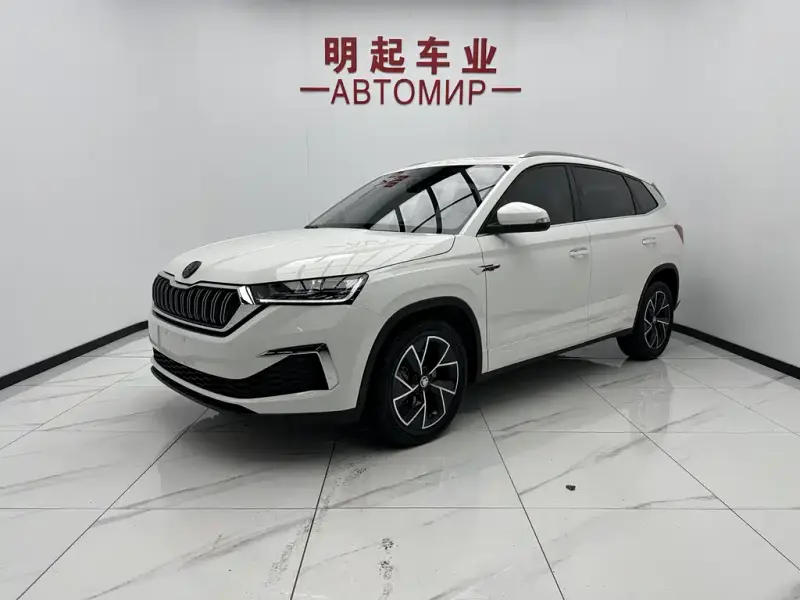 Skoda Kamiq, 2022