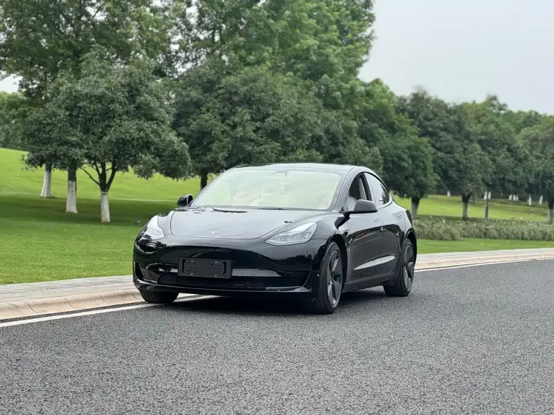 Tesla Model 3, 2021