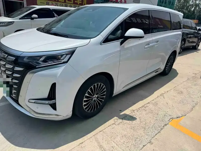 Denza D9, 2024