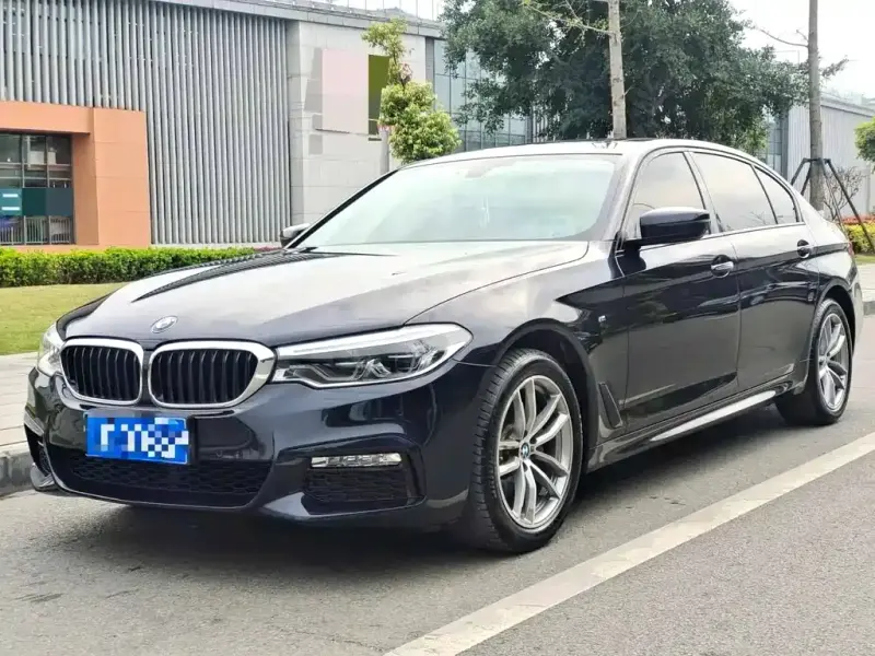 BMW 5 Series, 2019