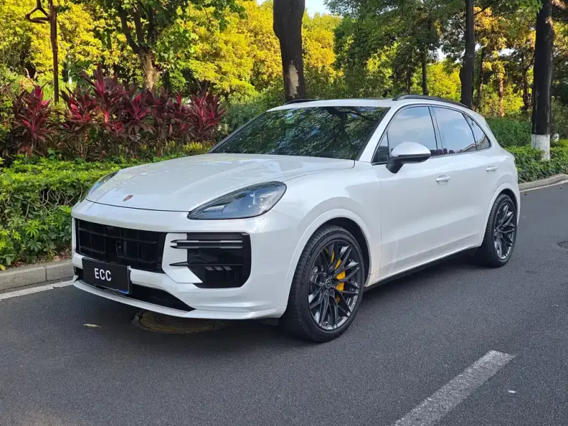 Porsche Cayenne, 2020