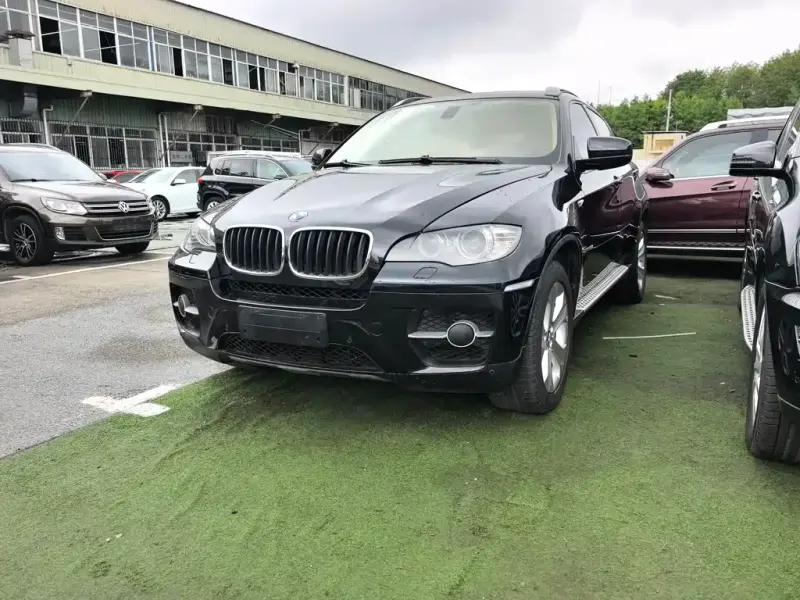 BMW X6, 2010