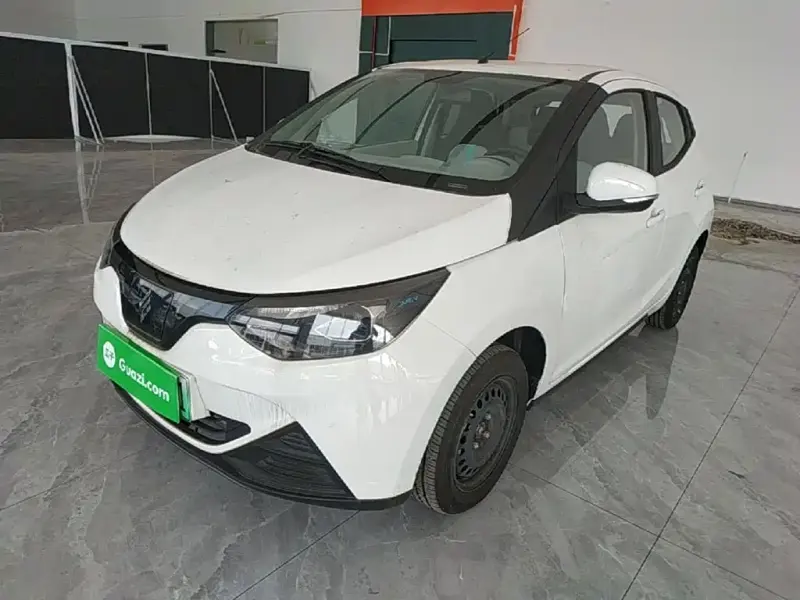 JMEV EV2, 2025