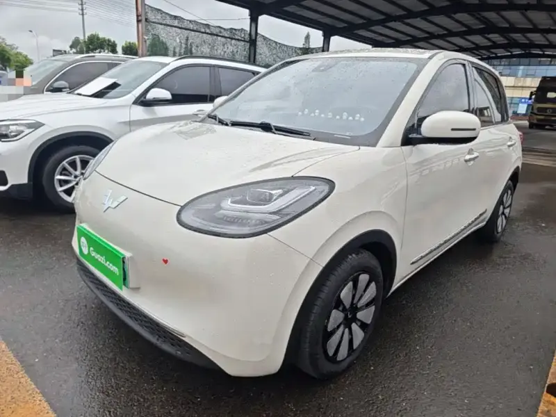 Wuling Bingo, 2023