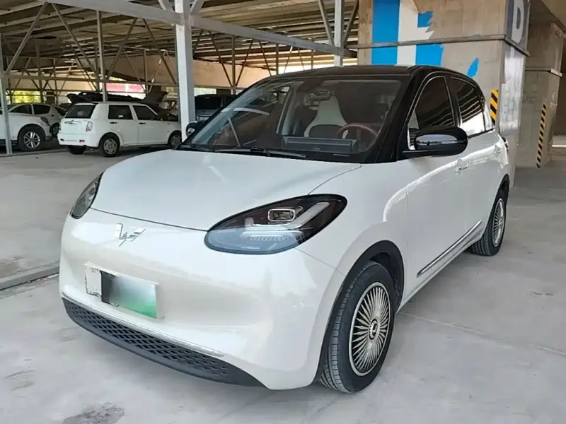 Wuling Bingo, 2023
