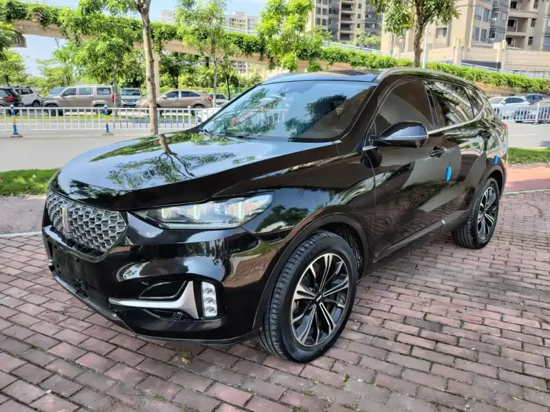 Wey VV6, 2020