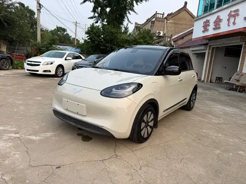 Wuling Bingo, 2024