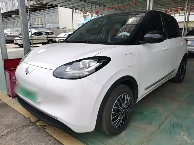 Wuling Bingo, 2024
