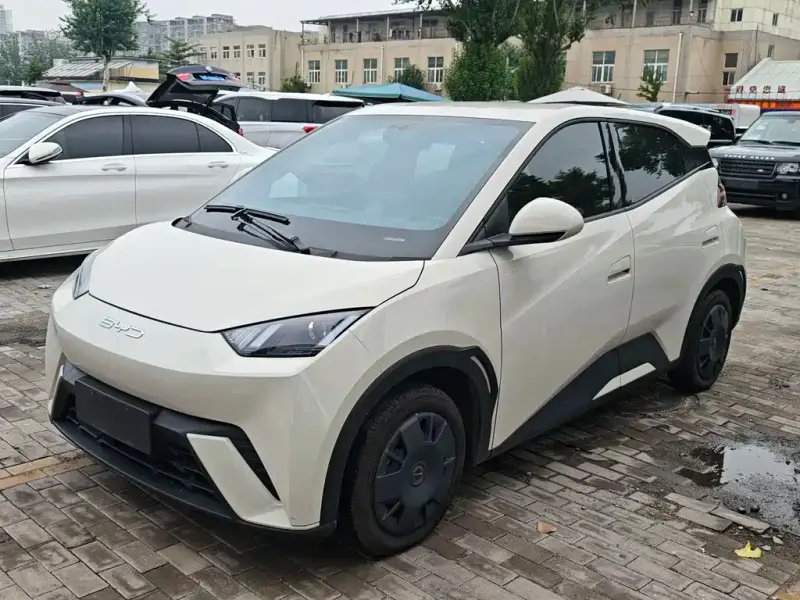 BYD Seagull, 2024