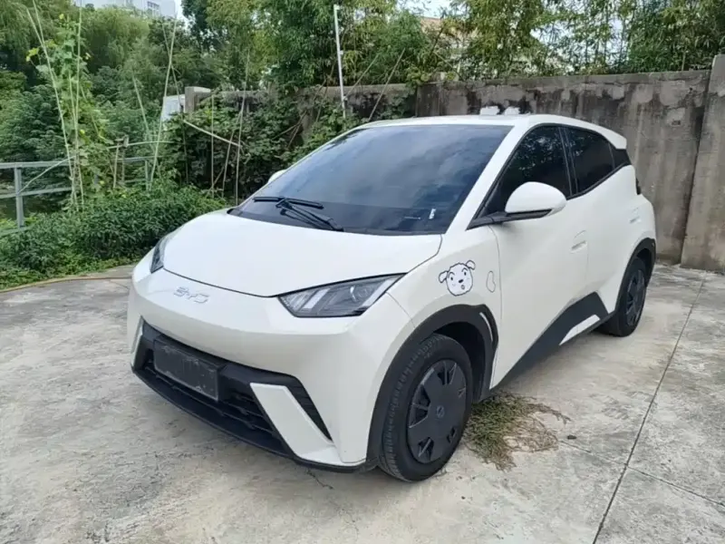 BYD Seagull, 2024