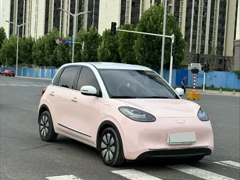 Wuling Bingo, 2023