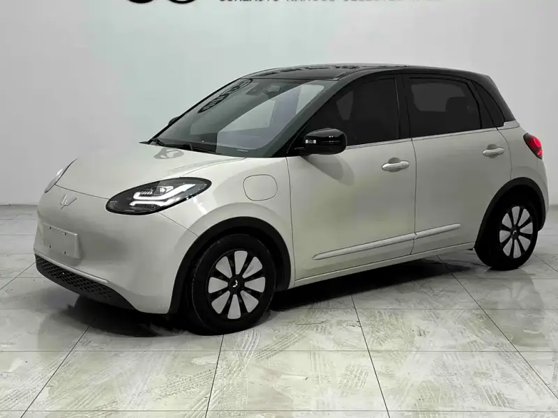 Wuling Bingo, 2023