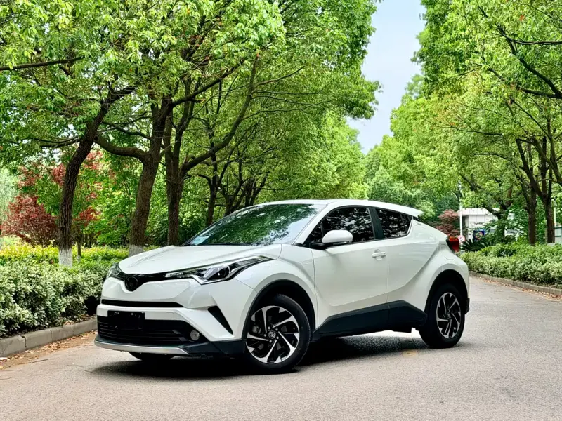 Toyota IZOA, 2019
