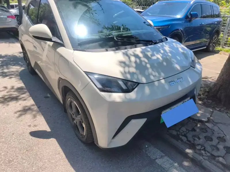 BYD Seagull, 2024