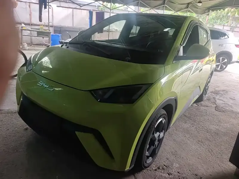 BYD Seagull, 2024
