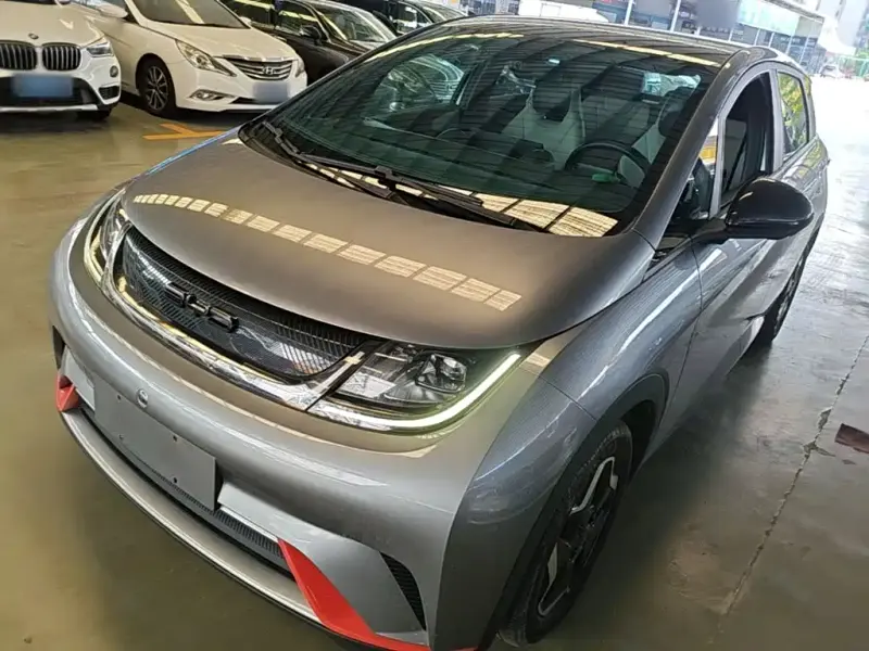 BYD Dolphin, 2022