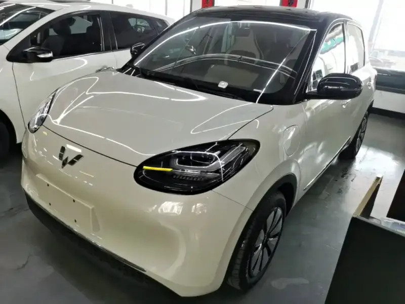 Wuling Bingo, 2025