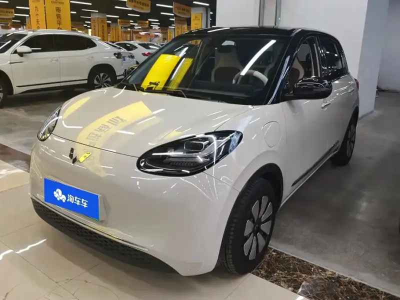 Wuling Bingo, 2024