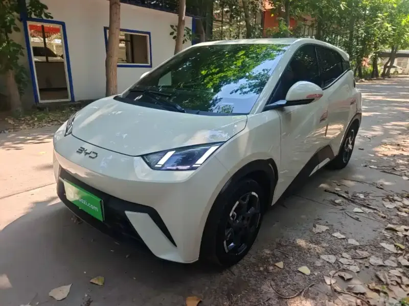 BYD Seagull, 2024