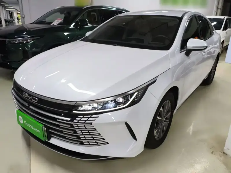 BYD Destroyer 05, 2024