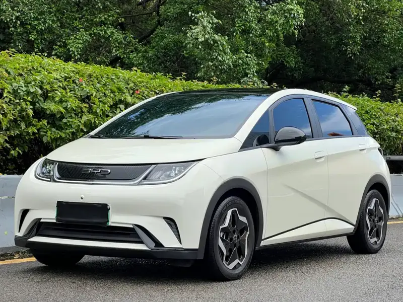 BYD Dolphin, 2022