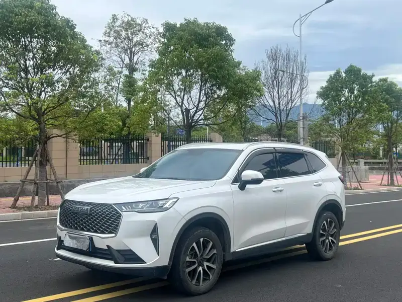Haval H6, 2022