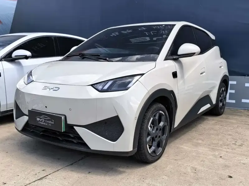 BYD Seagull, 2025