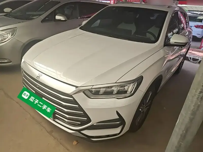 BYD Pro New Energy, 2022